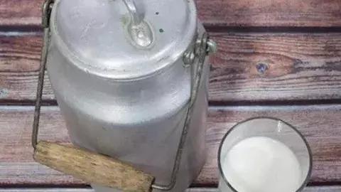 కబళిస్తున్న కల్తీ పాలు..పెరుగుతున్న మరణాలు