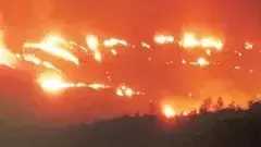 అరకులో అగ్నిప్రమాదం.. కాలిపోయిన కాఫీ తోట