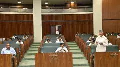 సోషల్ మీడియా నియంత్రణలు పిల్లల భవిష్యత్తును కాపాడతాయా?