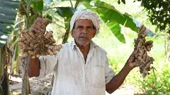 రోశయ్య ప్రకృతి సేద్యం అన్నదాతలకు ఆదర్శం