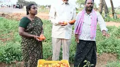 స్వర్ణాంధ్ర సాకారం కావాలంటే వ్యవసాయం  కీలకం