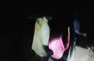 పవన్ కల్యాణ్ హామీ ఇచ్చిన 24 గంటల్లోనే మళ్లీ డోలీ మోతలు పవన్ కల్యాణ్ హామీ ఇచ్చిన 24 గంటల్లోనే మళ్లీ డోలీ మోతలు