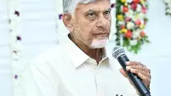 అకాల వర్షాలతో 1,215 హెక్టార్లలో పంట నష్టం