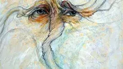 కవితోత్సవం