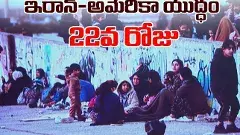 అవి నాటో కాదు.. నాటు దేశాలు, పిరికిపందలు: ట్రంప్