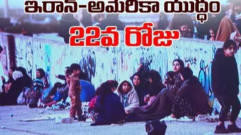 అవి నాటో కాదు.. నాటు దేశాలు, పిరికిపందలు: ట్రంప్