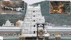 శేషాచలం అడవుల్లో ఆధ్యాత్మిక నడక....