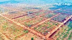 అమరావతిలో పెద్ద ప్లాట్ల విభజన