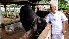 పేడతో గ్యాస్: నెలకు లక్ష ఆదా చేస్తున్న గ్రామం