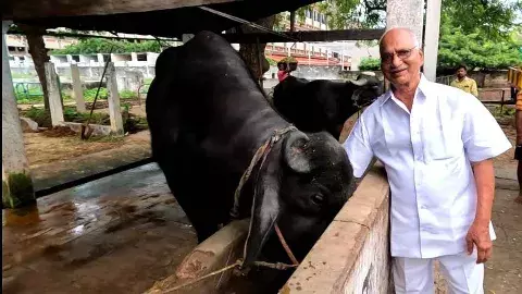 పేడతో గ్యాస్: నెలకు లక్ష ఆదా చేస్తున్న గ్రామం