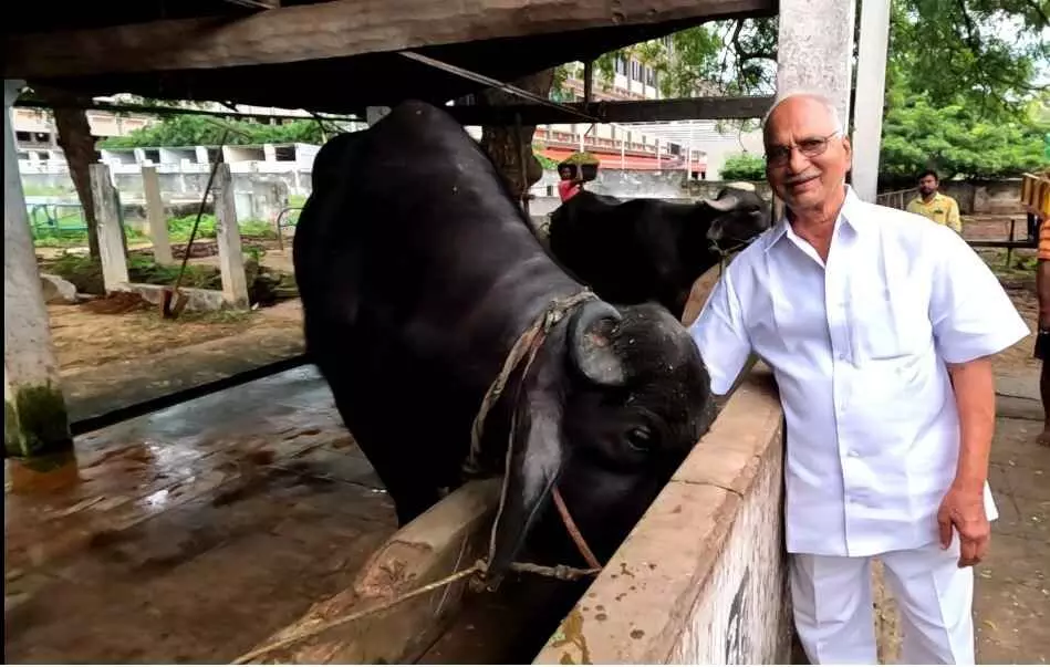 పేడతో గ్యాస్: నెలకు లక్ష ఆదా చేస్తున్న గ్రామం పేడతో గ్యాస్: నెలకు లక్ష ఆదా చేస్తున్న గ్రామం