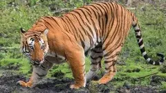 పోలవరంలో ఒంటరిగా కాదు గుంపులుగా వెళ్లాలి