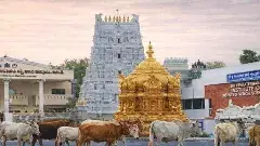 టీటీడీ ట్రస్టులకు విరాళాల వెల్లువ..