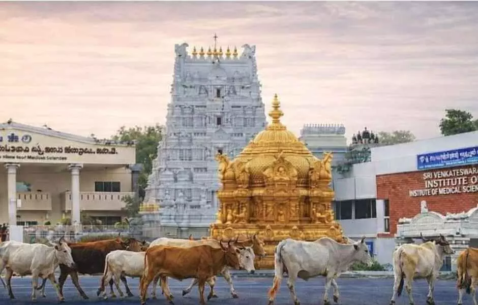 టీటీడీ ట్రస్టులకు విరాళాల వెల్లువ.. టీటీడీ ట్రస్టులకు విరాళాల వెల్లువ..