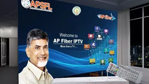 స్థిరత్వం కోసం ఫైబర్ నెట్ పాట్లు