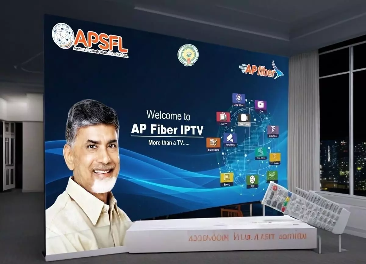 స్థిరత్వం కోసం ఫైబర్ నెట్ పాట్లు స్థిరత్వం కోసం ఫైబర్ నెట్ పాట్లు