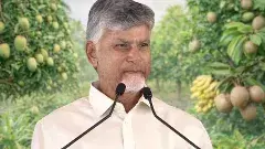 Horticultural | ప్రపంచానికి రాయలసీమ పండ్ల తోటలు గేట్ వేగా పరిచయం