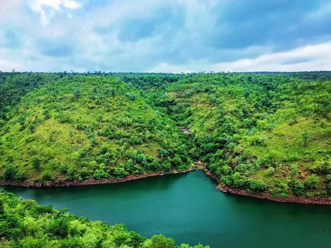 నల్లమలలో జరగబోయే సర్వే ఏమిటి? నల్లమలలో జరగబోయే సర్వే ఏమిటి?