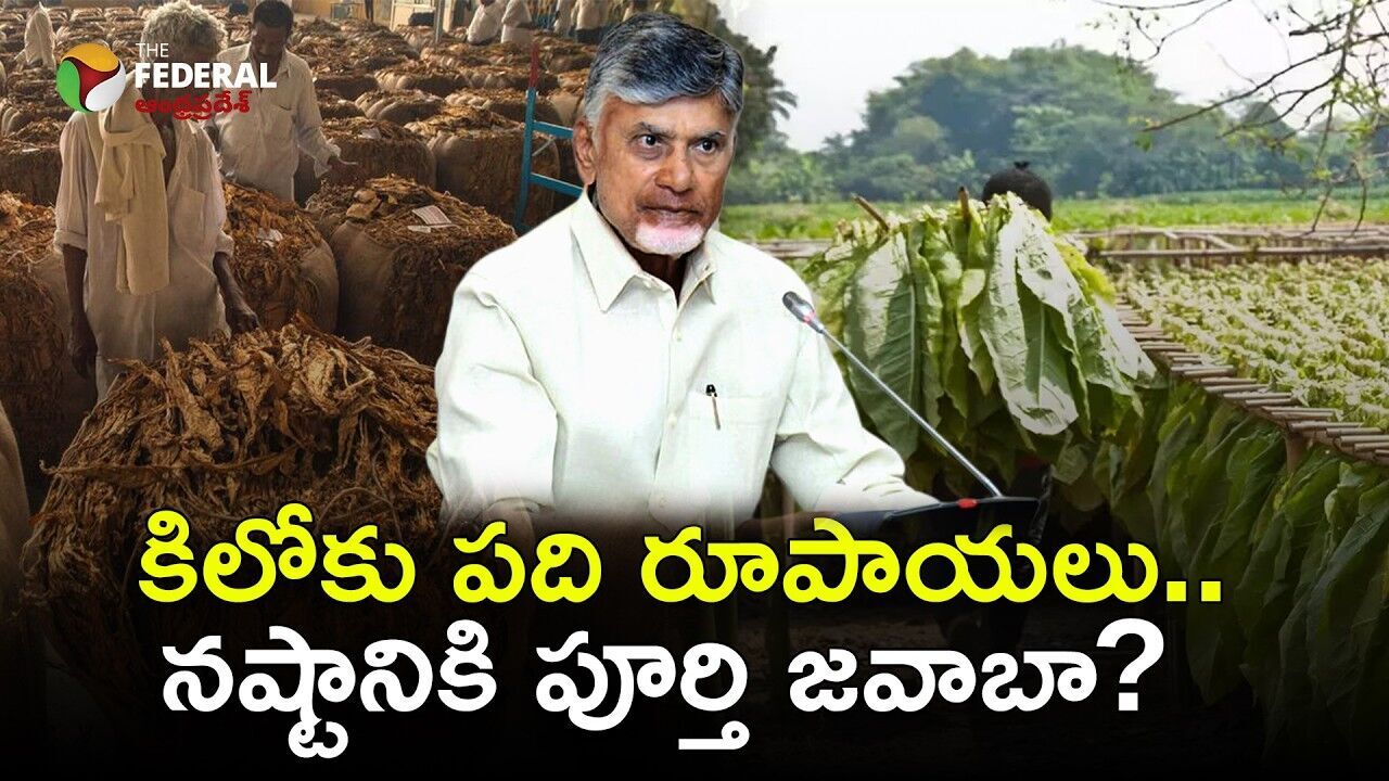 కిలోకు పది రూపాయలు.. నష్టానికి పూర్తి జవాబా?