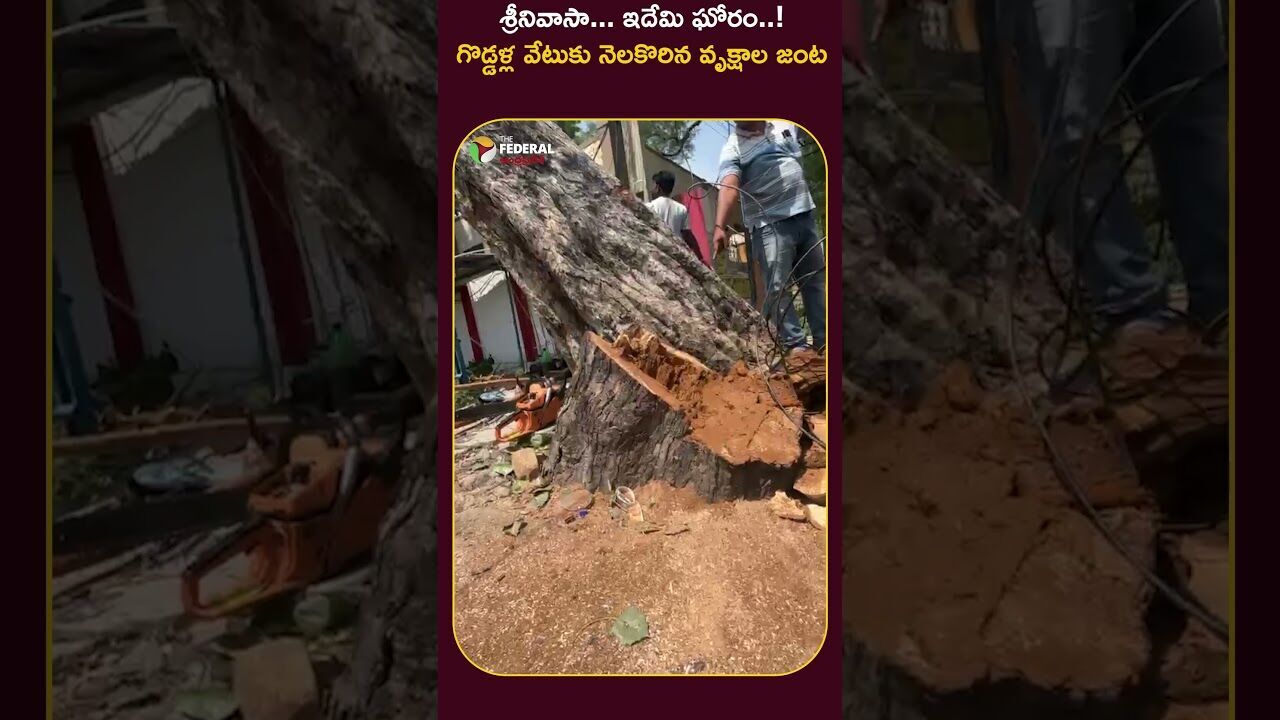 శ్రీనివాసా ఈ జంట చెట్లను కాపాడలేకపోయావా..?