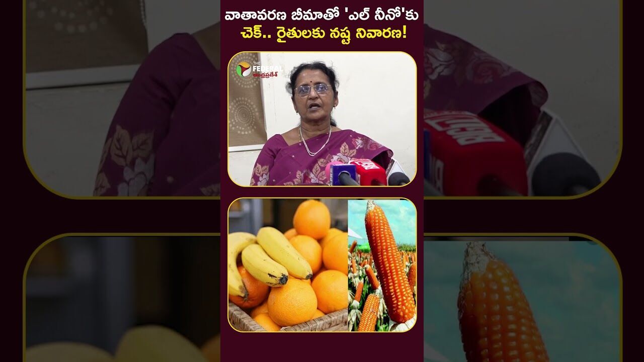 వాతావరణ బీమాతో ఎల్ నినోకు చెక్.. నష్ట నివారణ