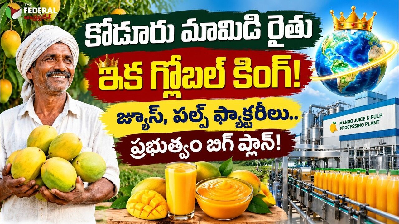 రైల్వే కోడూరులో మ్యాంగ్ పార్క్ ప్రాజెక్టు ప్రతిపాదన